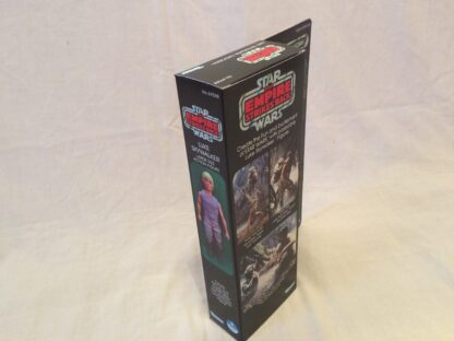 Custom Vintage Star Wars The Empire Strikes Back 12" Luke Skywalker Dagobah box and inserts